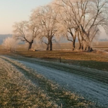 Ferienwohnung An Der Elbe 布莱克德 外观 照片
