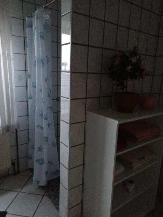Ferienwohnung An Der Elbe 布莱克德 外观 照片